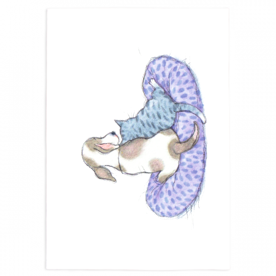 Pet Blankets